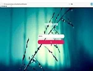网站PV流量生成工具：在线模拟与开发代码-蓝海网