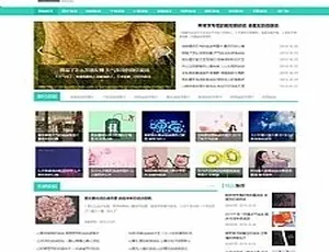 QQ空间日志说说网站源码 织梦模板 手机电脑同步