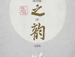 宋之韵 2014中国大陆经典人文纪录片 全20集缺第10集 高清收藏版