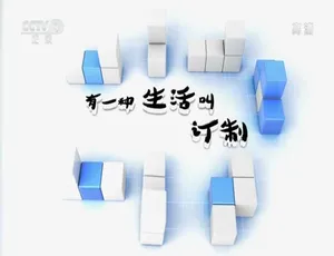 定制生活纪录片 1080P全5集 国语中文字幕