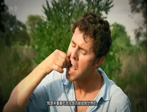 吃昆虫能拯救世界吗？纪录片国语中字