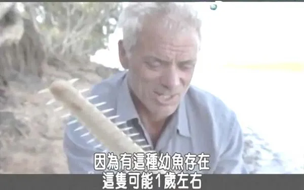 自然探险纪录片