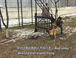 全球最硬核严酷监狱纪录片 全26集 720P 1080i高清 中文字幕