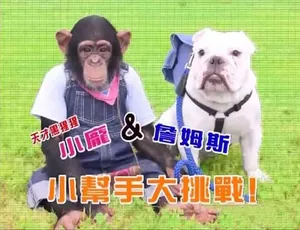 阿笨和阿占 Pan & James 第一季 国语版 高清全集