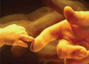 生存密码科学实验