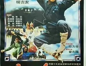 1983少林寺弟子 武侠动作电影 国语经典-蓝海网