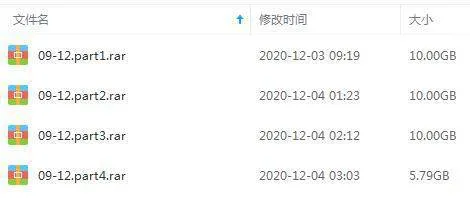 保罗·范霍文电影合集