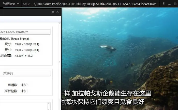 海洋生态自然纪录片