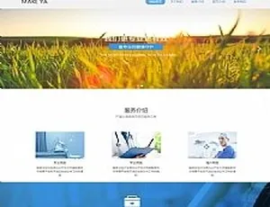自适应手机版响应式医疗诊所网站源码 HTML5医疗机构织梦模板-蓝海网