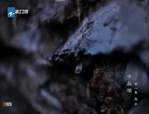 千岛湖纪录片全3集 国语中字 高清1080P-蓝海网