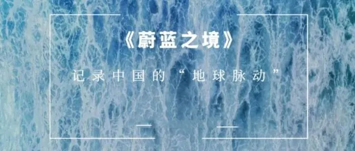 高清海洋生物纪录片
