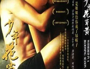 2006年中国经典剧情片 少年花草黄 国语中字高清版-蓝海网
