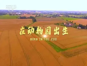在动物园出生 Born in the Zoo TS蓝光 中文字幕