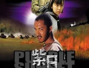 紫日 2001 香港电影 国语中字 MP4-蓝海网