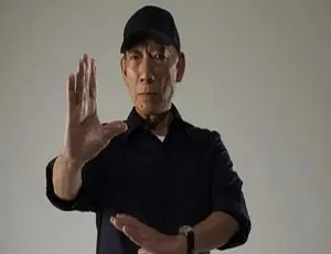 袁和平经典动作电影合集：奇门遁甲 鬼马天师 天师撞邪 阴阳奇兵 高清粤语中字-蓝海网