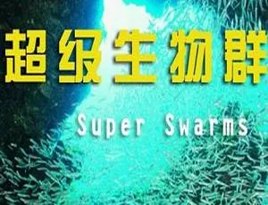 BBC超级生物群纪录片全2集英语中字 MKV高清
