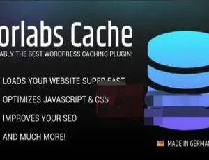 Borlabs Cache 1.6.3 简体中文版 | WordPress轻量缓存加速插件-蓝海网