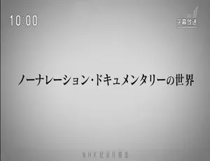 光棍儿：中国结不了婚的男人们 2017 纪录片 日语中字720P全1集-蓝海网