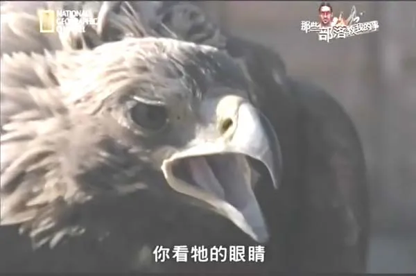 原始生存挑战