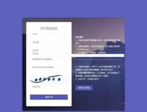 C238个人支付系统源码_微信支付宝免签收款解决方案 高效集成审核功能与即时通知服务-蓝海网