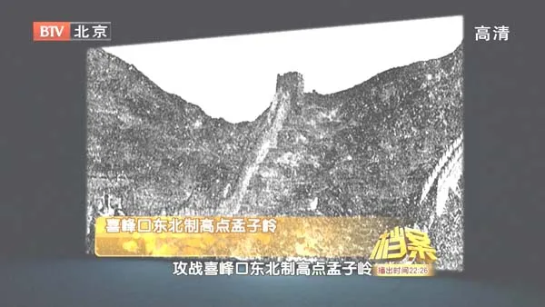 枣宜会战