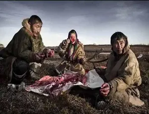 消失的极地猎人：因纽特人Netsilik Eskimo生存智慧全纪录