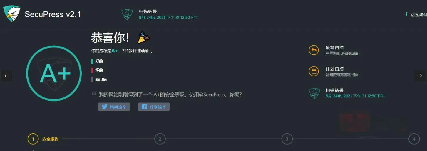 漏洞检测插件