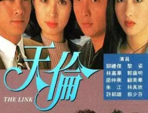 1993 TVB经典港剧天伦 中国香港版全集