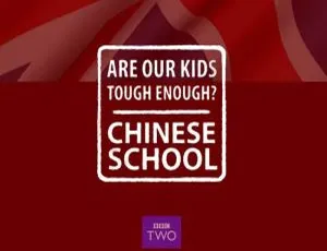 中式教育纪录片全3集 - BBC高分经典