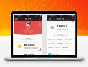 Discuz会员组购买支付插件 商业版V2.18-蓝海网