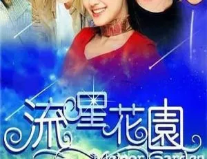 2001香港流星花园 徐熙媛 言承旭 国语粤语中字 全20集