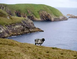 野性爱尔兰 Wild Ireland 高清纪录片 自然风光全片-蓝海网