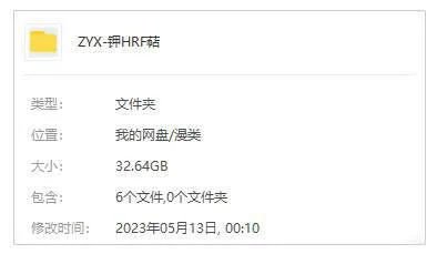 甲贺伊贺忍者对决