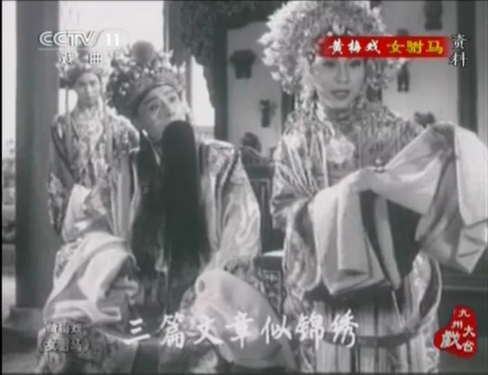 黄梅戏经典戏曲片