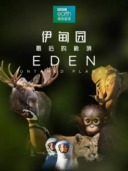 极端环境生存密码