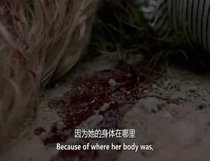 魔鬼住在这：死亡阴影 Evil Lives Here: Shadows of Death 2022 第四季 1080P MKV 英语中英双字