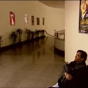 随风而去