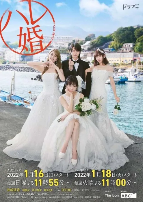 日本婚姻制度