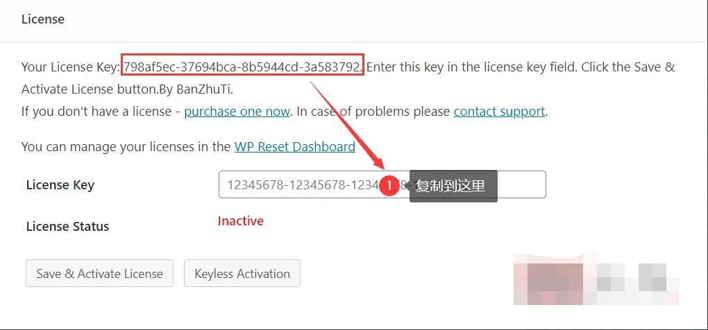 WP Reset Pro中文版