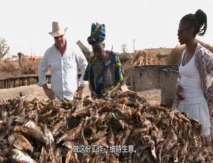 稀奇古怪的食物 Bizarre Foods with Andrew Zimmern 第三季全11集 1080P MKV高清 英语外挂中文字幕