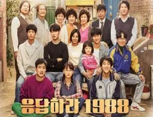 请回答1988 全20集 申源浩执导 韩剧高清韩语中字-蓝海网