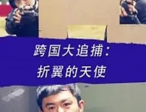 2016跨国大追捕：折翼的天使 汉语普通话 全1集-蓝海网
