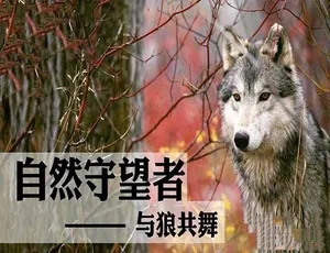 自然守望者第五季TS蓝光高清版-蓝海网