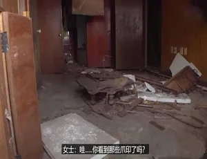 拯救动物第10季229集全高清中字版