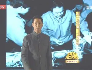 2011 BTV档案九一八大案纪实 一网打尽高清纪录片