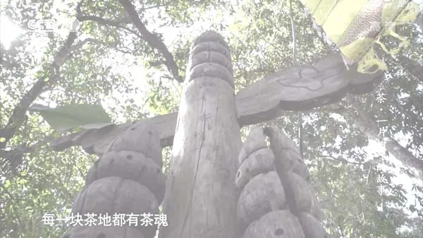 跨国茶文化纪录片