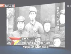2012 BTV档案 红孩子系列之朝鲜战火中的毛岸英-蓝海网