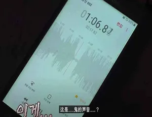 瞬间捕捉世界有奇事 全11季40集高清中字揭秘全球奇观