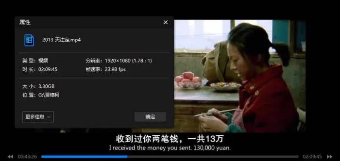 贾樟柯现实主义电影