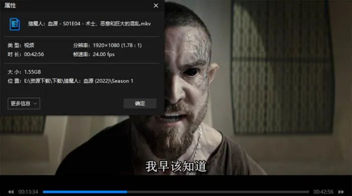 杨紫琼主演